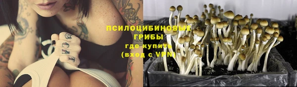 мескалин Горнозаводск