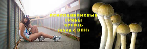 мескалин Горнозаводск
