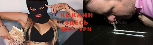 дмт Горно-Алтайск