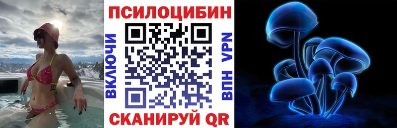 Галлюциногенные грибы Cubensis  Купить закладки  Конаково 